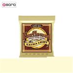 Ernieball 2006 Acoustic Guitar String