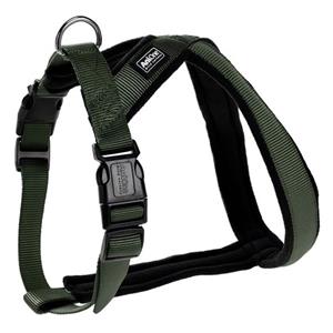 قلاده سگ آنی وان آلمان AniOne Harness Classic Green L 