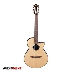 گیتار کلاسیک Ibanez AEG50N-NT