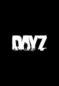 بازی DayZ Steam ریجن آرژانتین