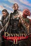 بازی Divinity: Original Sin II GOG.com ریجن گلوبال