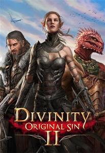بازی Divinity: Original Sin II Steam ریجن آرژانتین
