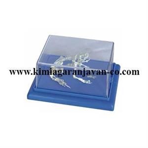 اسکلت طبیعی قورباغه