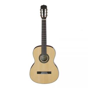 گیتار آریا مدل AK-30 N