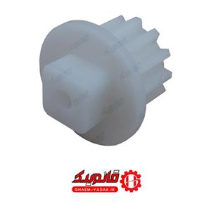 دنده ته روده چرخ گوشت پال کوچک