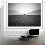تابلو عکس ۹۰×۶۰ طرح درخت اثر محمود رضا مرادی مهرآبادی