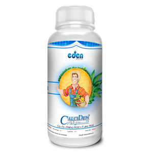 کود مایع کلات شده کلسیدن Eden 1 لیتری