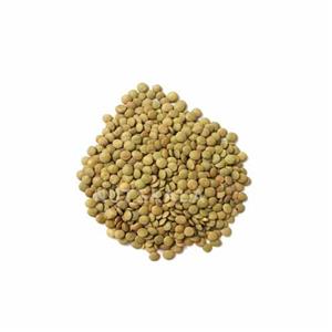 عدس ممتاز ایرانی ناتس کالا (1000 گرم)