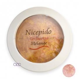 رژگونه تراکوتا ملانژ نایسپیدو مدل 507