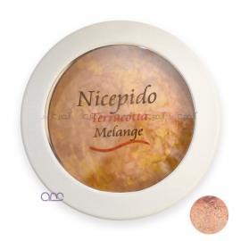 رژگونه تراکوتا ملانژ نایسپیدو مدل 503