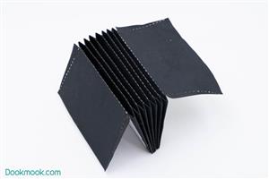 جاکارتی آکاردئونی