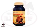 مکمل غذایی سوباشی سگ dog immune