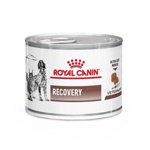 غذای کنسرو ریکاوری سگ و گربه رویال کنین (Royal Canin Recovery Wet) وزن 195 گرم 