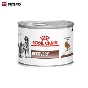 غذای کنسرو ریکاوری سگ و گربه رویال کنین Royal Canin Recovery Wet وزن 195 گرم 