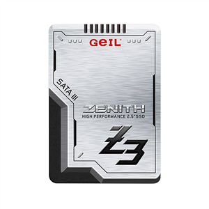 اس اس دی گیل ZENITH R3 SATA 1TB