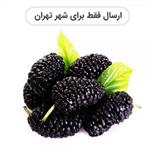 میوه شاه توت تازه