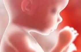 تحقیق بررسی احکام سقط جنین یا سقط حمل کد 2 