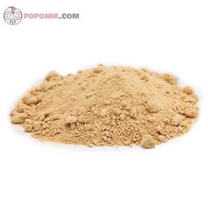 پودر سیب فله ای