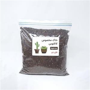 خاک مخصوص کاکتوس بسته کوچک