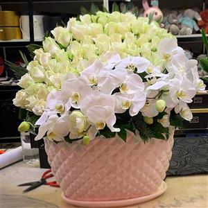 باکس گل رها ترکیبی از زیباترین گل های رز و ارکیده سفید 