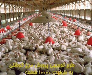 طرح توجیهی پرورش مرغ گوشتی به ظرفیت ۱۰۰۰۰ قطعه