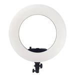 رینگ لایت وسکات Westcott Ring Light 480 IIII