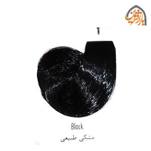 رنگ مو ریتون سری طبیعی مشکی شماره 1 موی Natural Shades مدل Black 