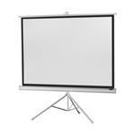 Celexon CST180 Tripod Projector Screen 180x180