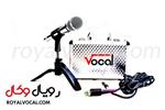 میکروفون Vocal مدل V-100