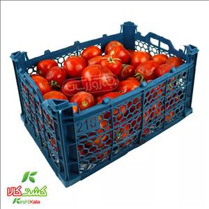 گوجه فرنگی ربی کشت کالا  ۵کیلو