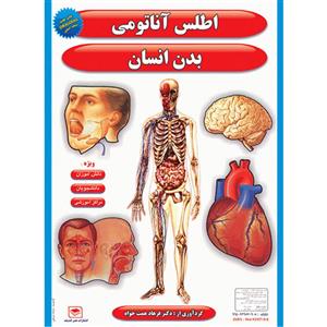 پوستر طرح اطلس اناتومی بدن انسان مجموعه 15 عددی 