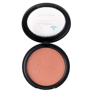 رژگونه ساده لگراند 301