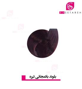 رنگ مو ریتون سری قرمز و شرابی رنگ بلوند بادنجانی تیره شماره 6.2 Reyton Red Brilliant Dark Blonde Hair Color No 6.2