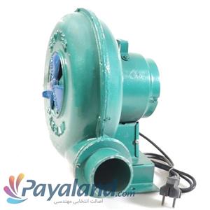 دم برقی پارسیان جگرکی 