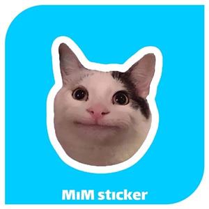 استیکر میم گربه 