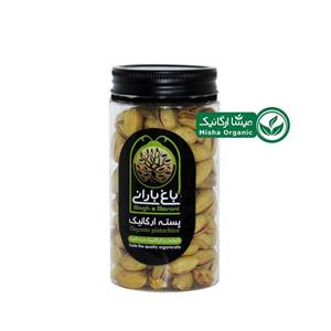 پسته شور ارگانیک زعفرانی بارانی – 300 گرمی