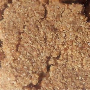 پودر انجیر خشک نیم کیلویی