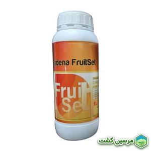Fruitset کود فروت ست پادنا