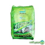 Marvel Xgreen معجزه گر ایکس گرین (مارول)