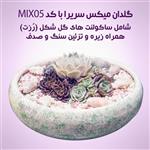 گلدان دیش گاردن ساکولنت مدل MIX05