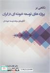 کتاب نگاهی بر پروژه های توسعه خوشه ای در ایران انتشارات آیین محمود