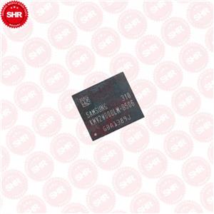 آی سی هارد B506-32G