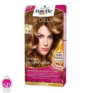 Palette Kit Deluxe Golden Gloss Mocca Shade 7-65 