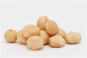 ماکادمیا خام کد 024