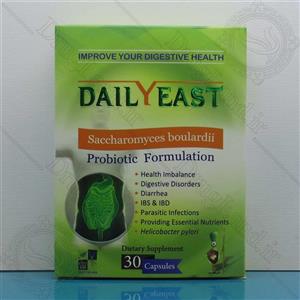 کپسول دیلیست زیست تخمیر Zist Takhmir Daily East Probiotic Formulation 30 Caps 