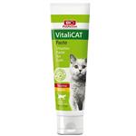 خمیر مولتی ویتامین گربه بالغ بایوپت اکتیو مدل VitaliCat حجم ۱۰۰ میلی لیتر
