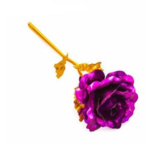 گل رزviolet rose  بنفش