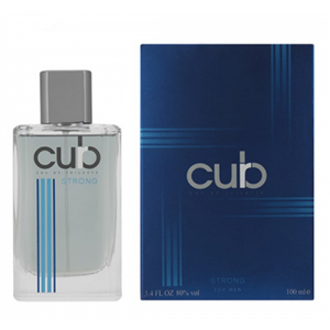 ادو تویلت مردانه اودورا مدل Curb Strong حجم 100 میلی لیتر Odora Curb Strong Eau De Toilette for Men 100ml