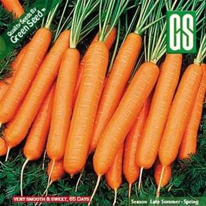 بذر هویج فرنگی Nantes