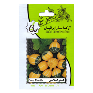 بذر کدو گلابی آرکا بذر ایرانیان